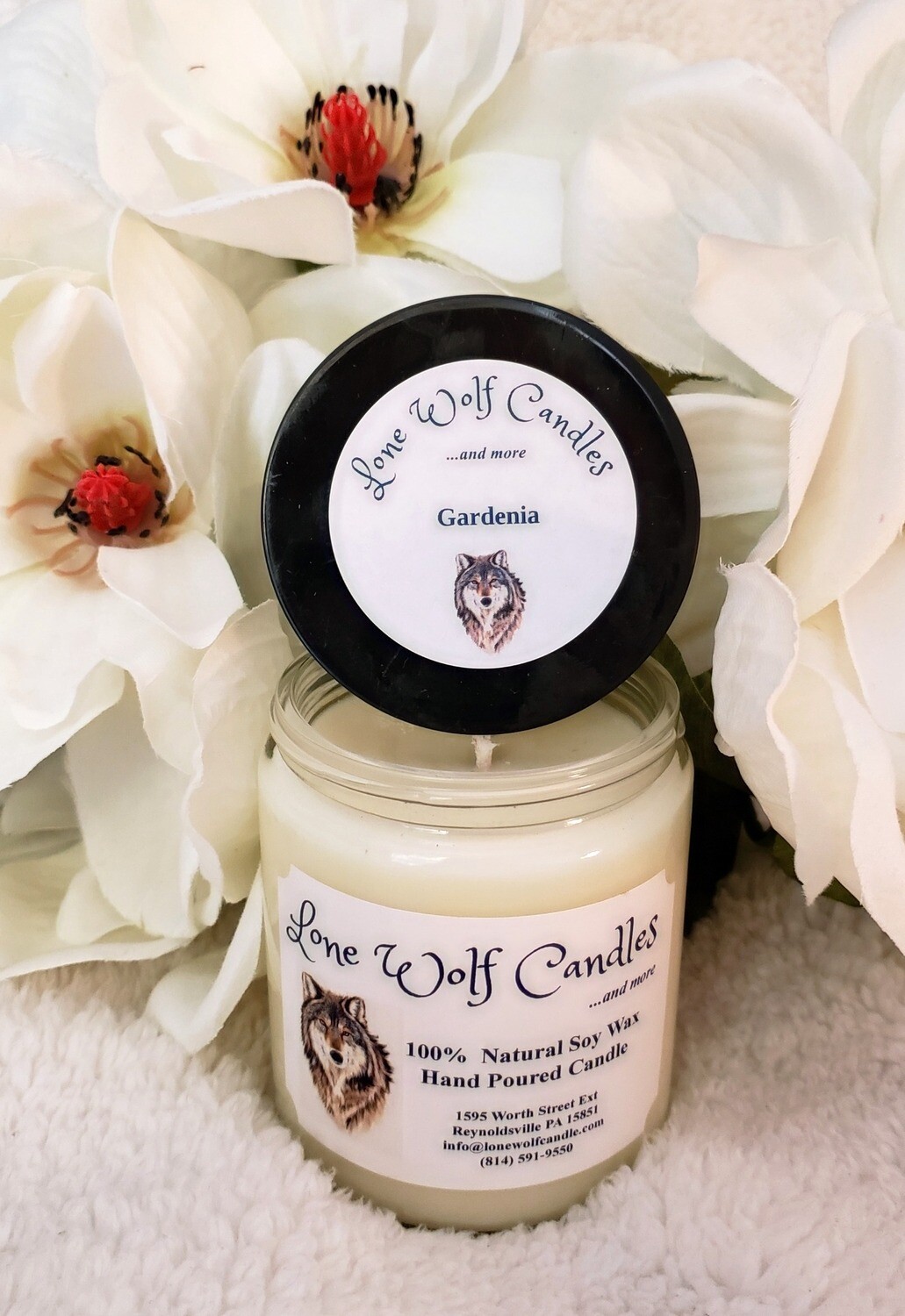 Gardenia Gardenia