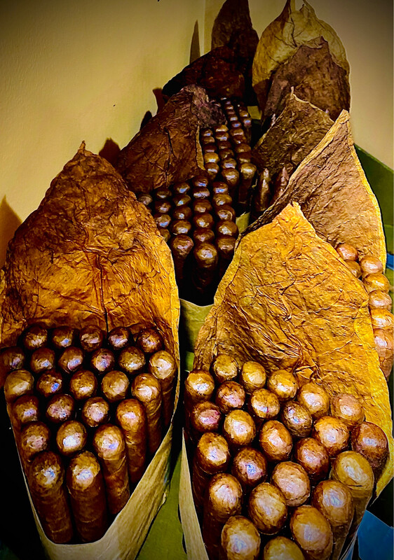 CAPA HABANA 52X6 1/2 BUNDLE OF 25 CIGARS