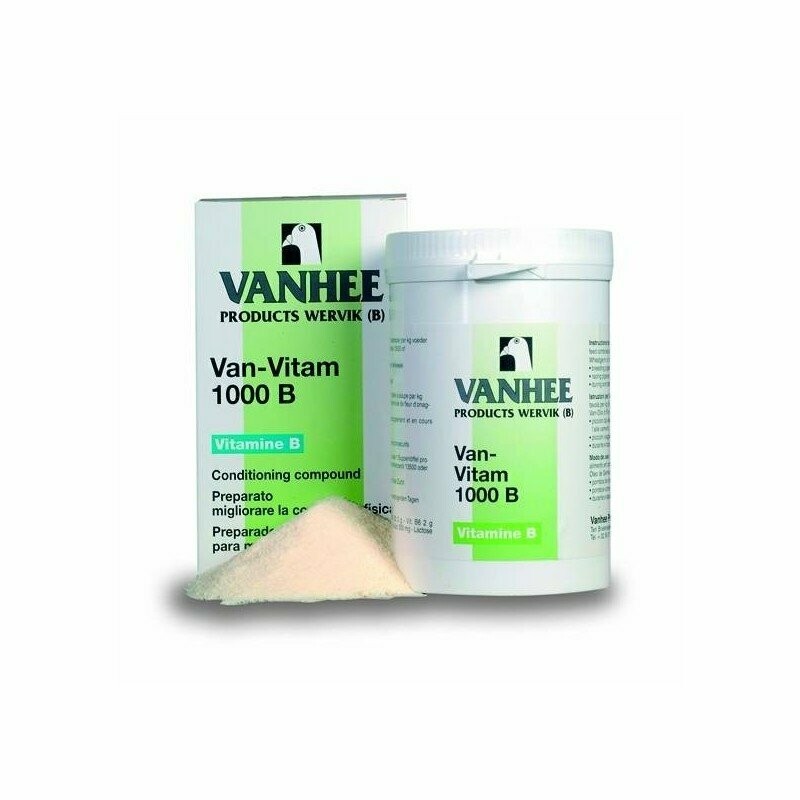 Van-Vitam 1000B Poudre De Condition Avec Vitamines B 250g