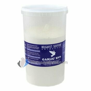 BelgaVet Garlic Powder 1kg