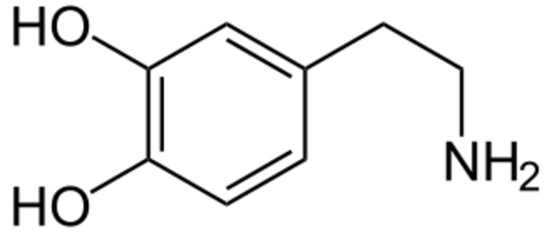 LDHA (Sans Le Test ADN-PA)