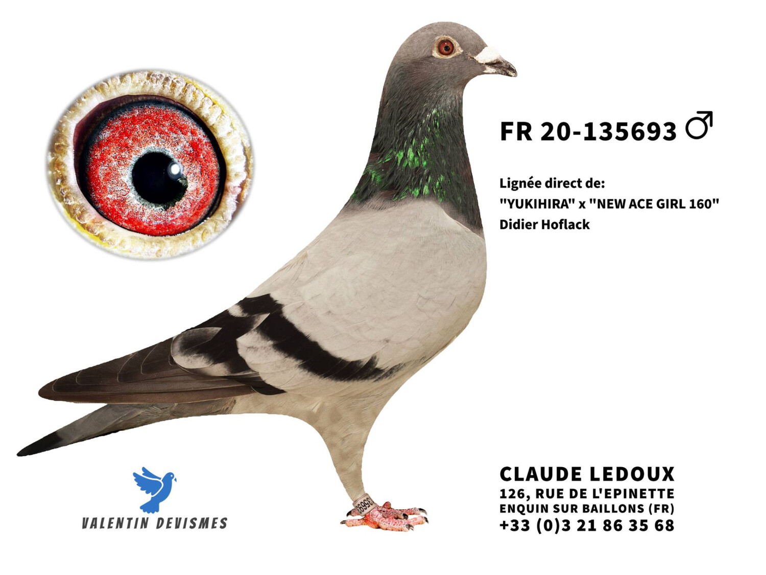 Offert par Ledoux.C "FR 2020-135693 "