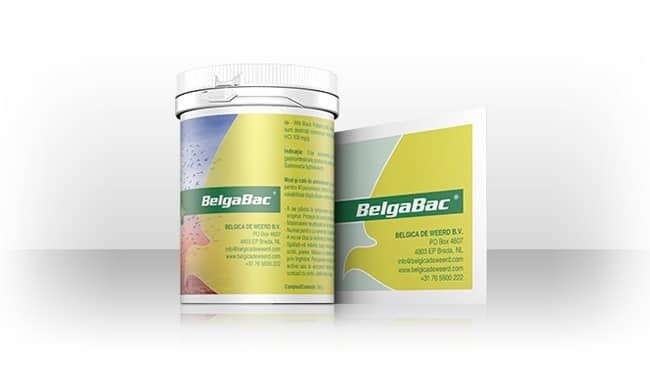 BelgaBac 10 x 5 g sachet- Belgica De Weerd BelgaBac 10 x 5 g sachet- Belgica De Weerd