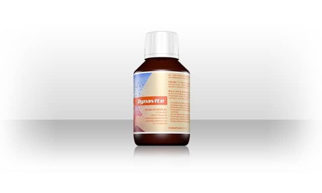 Dynavite 100 ml - Belgica De Weerd