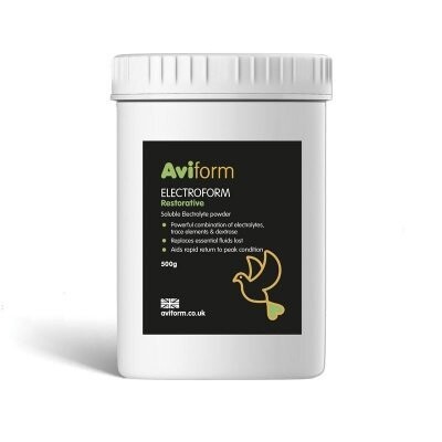 Electroform 500gr - Aviform