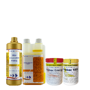 Pack 1 Tollisan Tollyamin Sirop Probac 1000 et energy