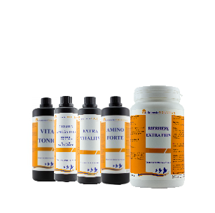 Pack 2 Tollisan  Vita tonic Golden Extra vitality Amino forte