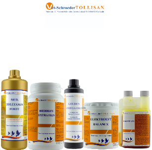 Pack 4 Tollisan Tollyamine levure Golden omega B-Komplex electrolyt balance