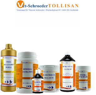 Pack 3 Tollisan Tollyamin  Vita tonic Golden Extra vitality Amino forte