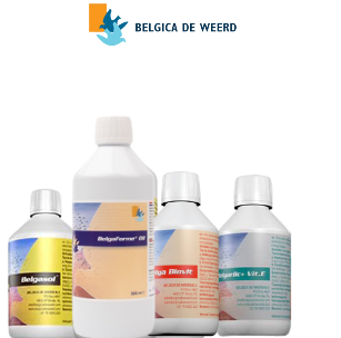 Pack 1 Belgica De Weerd Belfarom oil BelgaBiovot Belgasol Belgarlic