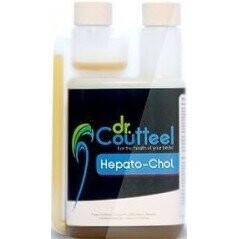 Hepato-Chol 250ml - Protecteur Hépatique