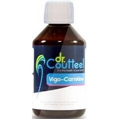 Vigo-Carnitine 250ml - Améliore La Condition Générale