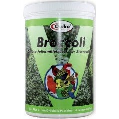 Broccoli, Apport En Proteines Et Mineraux 100gr