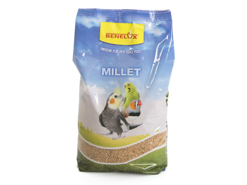 MILLET JAUNE SUPERIEUR 1 KG - Benelux