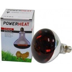 Ampoule Infrarouge R125 250W Rouge - Powerheat