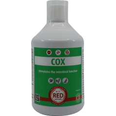 The Red Pigeon Cox 500 ml