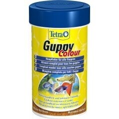 Guppy Colour 100ml - Tetra