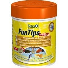 FunTips Tablets 165 Tablettes - Tetra