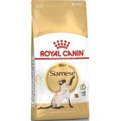 Siamese Adult 400gr - Royal Canin