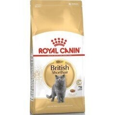 British Shorthair Adult 2kg - Royal Canin