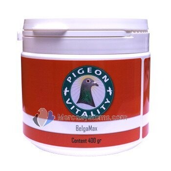 BelgaMax 400gr l'électrolyte