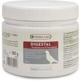 Digestal Poudre Pot 300g - - Versele-Laga Oropharma