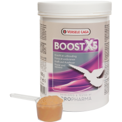 Boost X5 Poudre 500g - Versele-Laga Oropharma Boost X5 Poudre 500g - Versele-Laga Oropharma