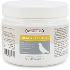 Recovery Caps 350 Capsules - Versele-Laga Oropharma