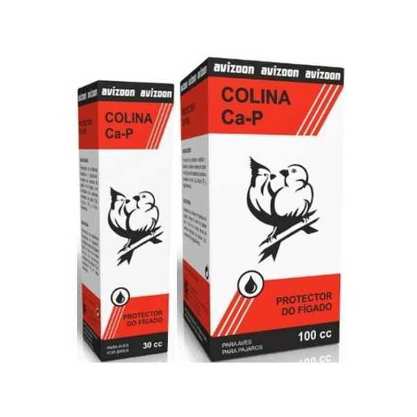 Colina Ca-P 100ml - Avizoon