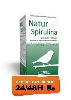 Natur Spirulina 50gr - Avizoon