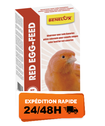 Pâtée colorante rouge 1KG Bevo - Benelux Pâtée colorante rouge 1KG Bevo - Benelux