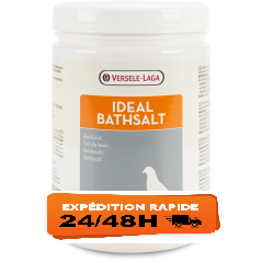 Ideal BathSalt Sel De Bain 1000g - Versele-Laga Oropharma