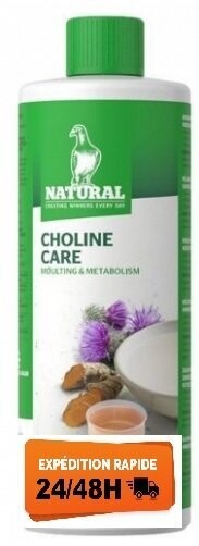Choline Care 500ml - Natural