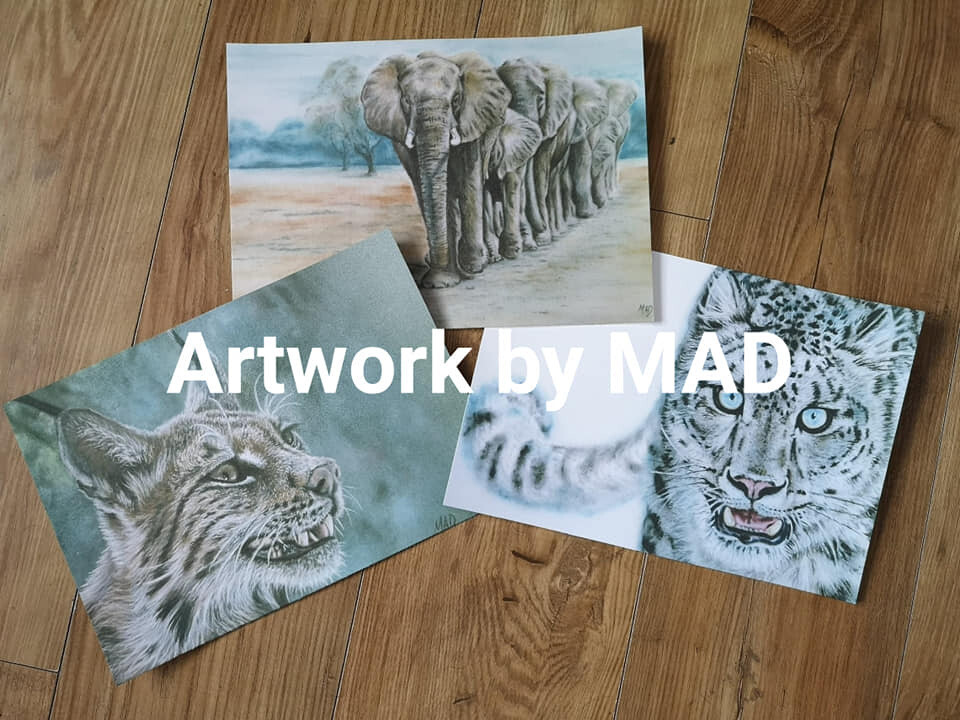 A set of 3, A4 size Artwork By Marie Dodd (MAD) Prints