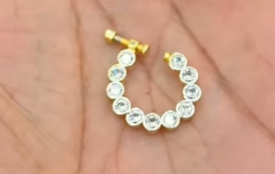 Nose pin