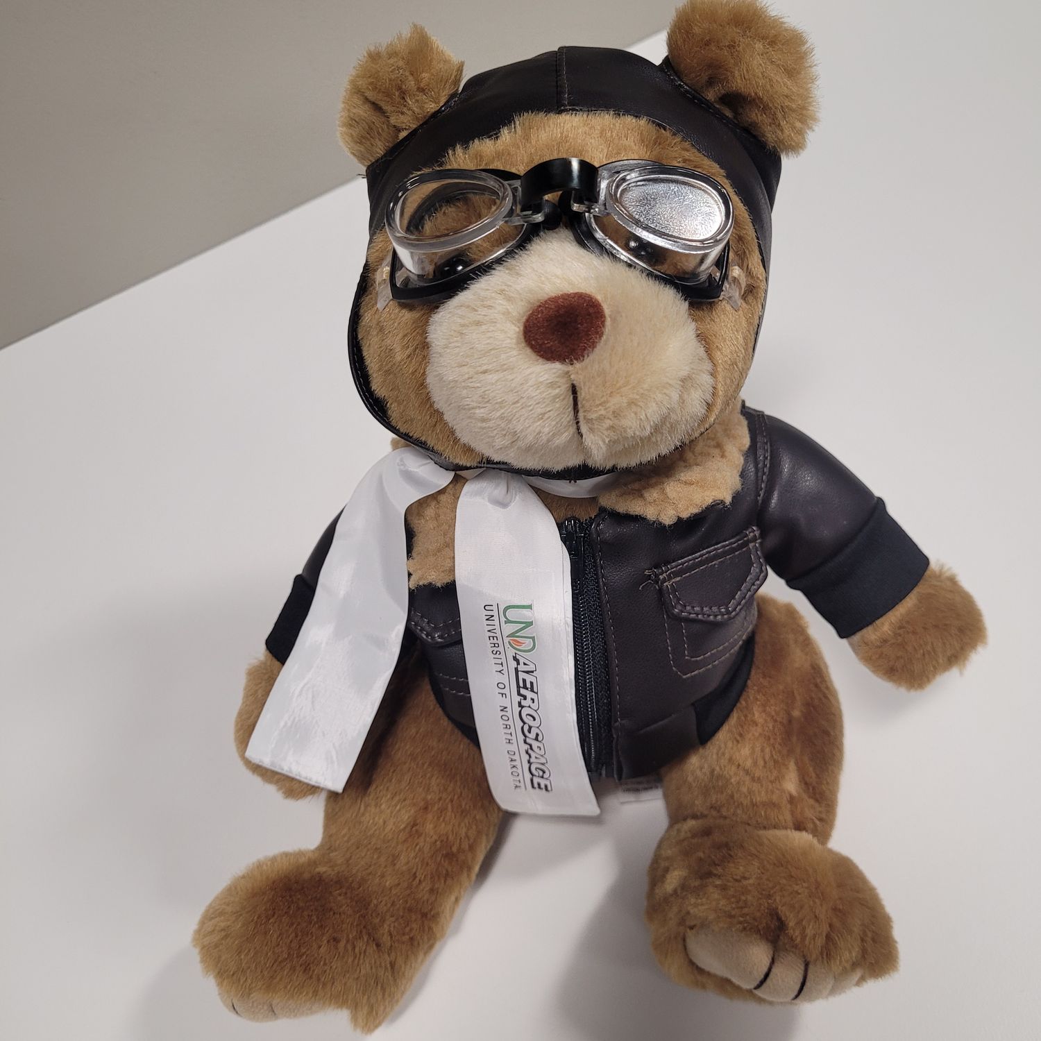 12" Aviator Bear