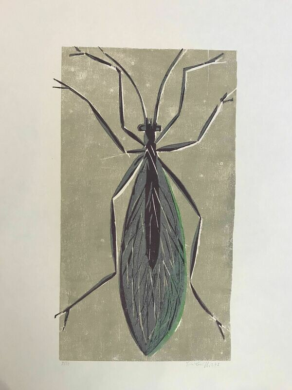 Heiner Bauschert - Insekt auf Beige Heiner Bauschert - Insekt auf Beige