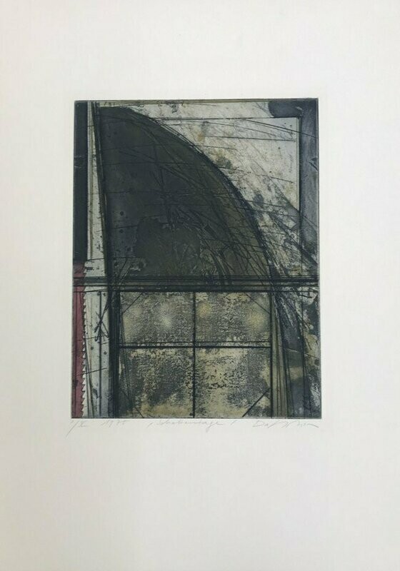 Karl​ Fred Dahmen - Schattentage