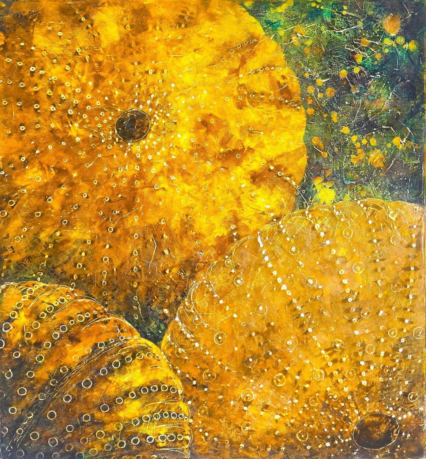 Zoran Salatovic, Meeresgeheimnis