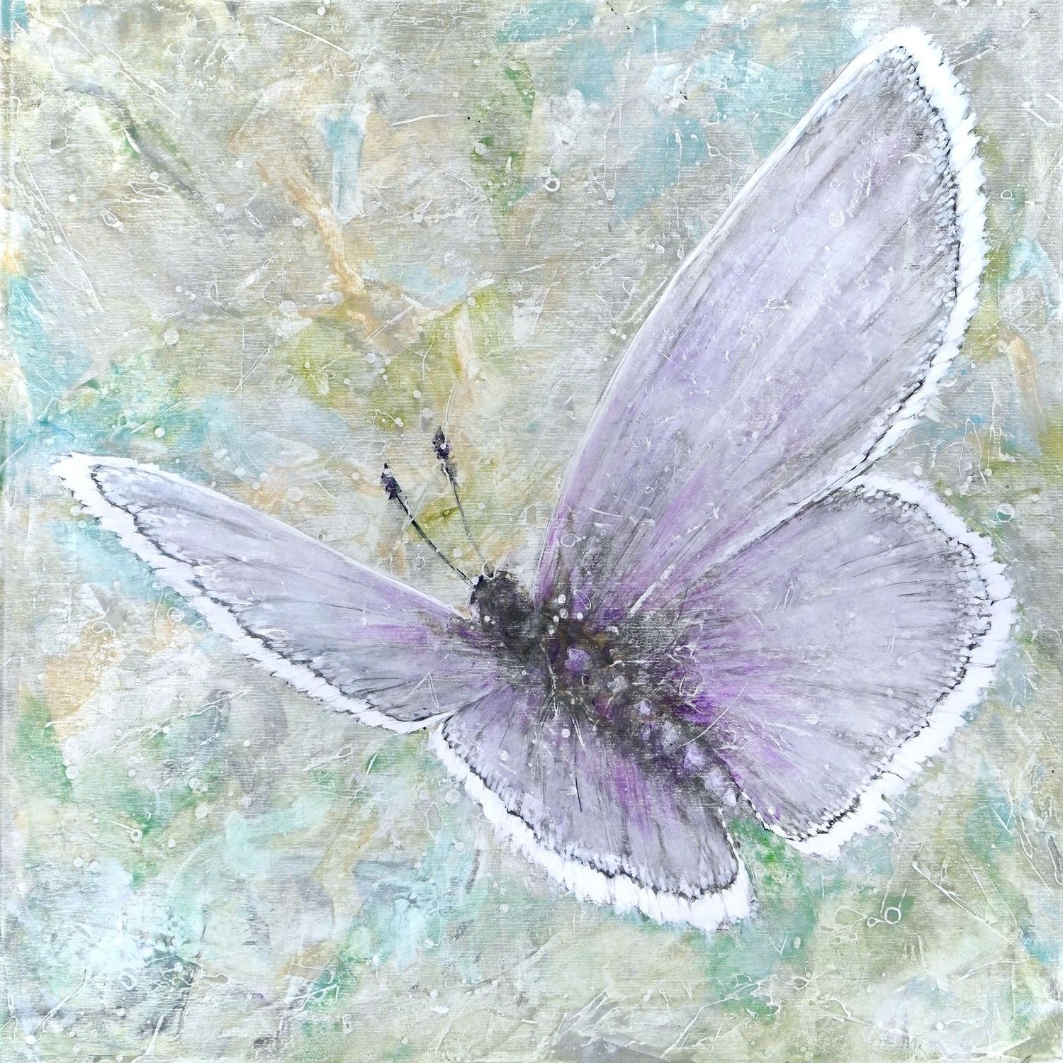 Zoran Salatovic, Amethyst
