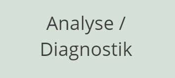Analyse / Diagnostik