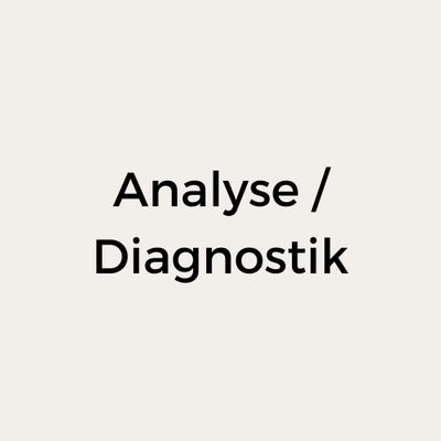 Analyse / Diagnostik
