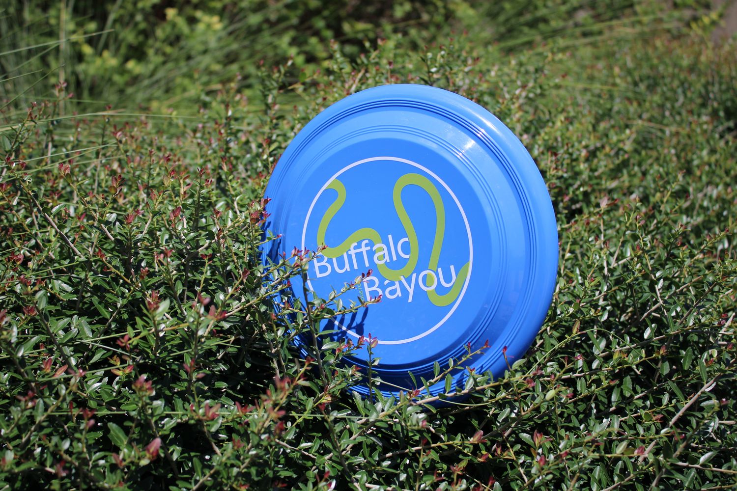 BBP Frisbee