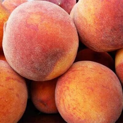 Peach Shipper (Certified Organic Peaches)