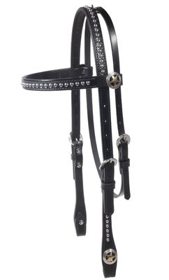 Cabezal de Frontal y Correa Dogal