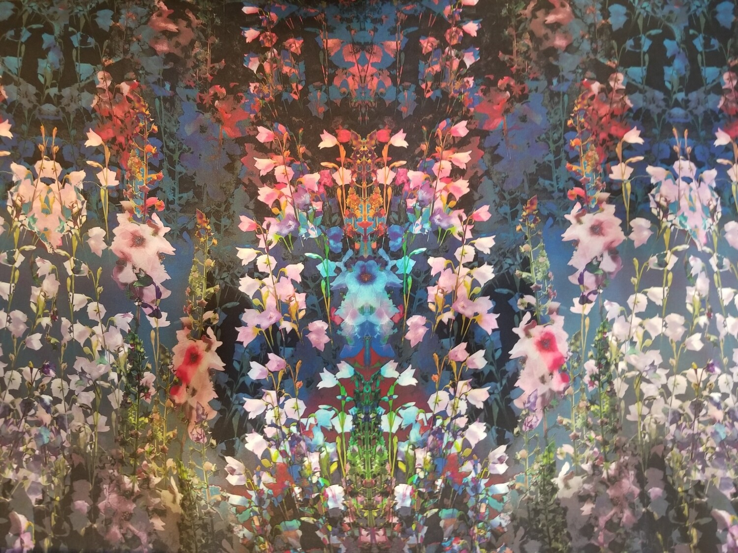 Roberto Cavalli Floral Print Mask