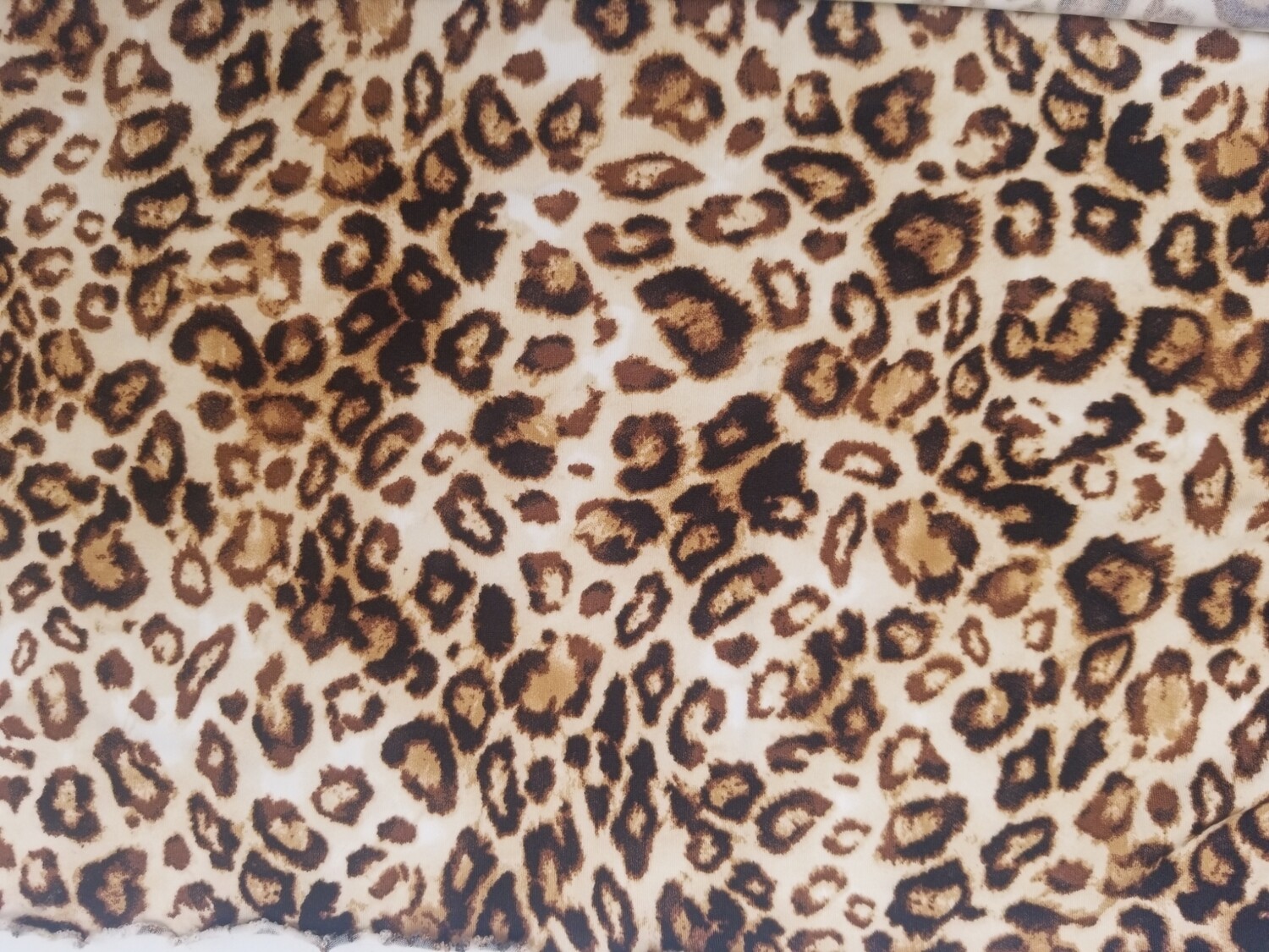 Leopard Print Mask