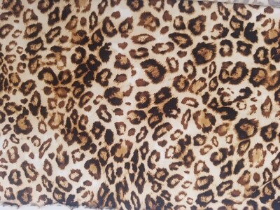 Leopard Print Mask