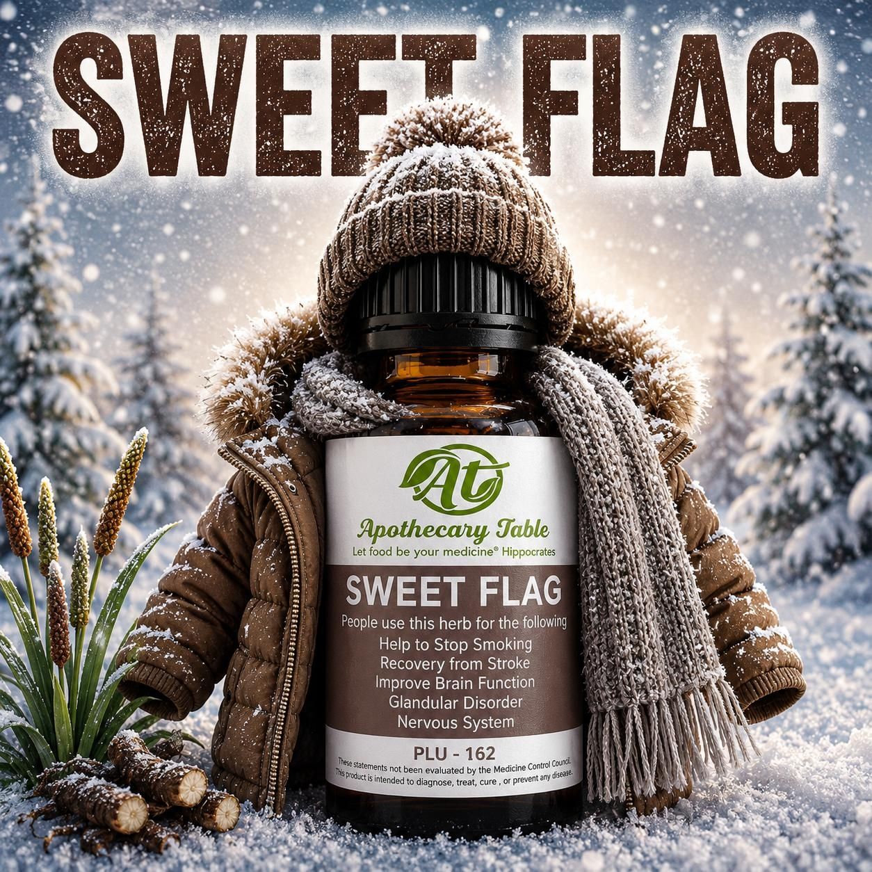 Calamus / Sweetflag