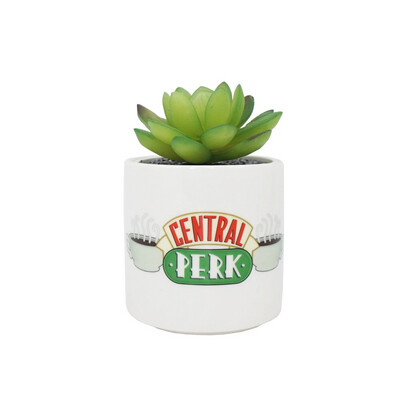 Planta decorativa Friends Central Perk